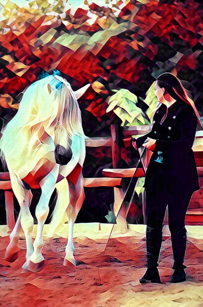 Horse for life  - a Photographic Art Artowrk by christophe Zambiasi